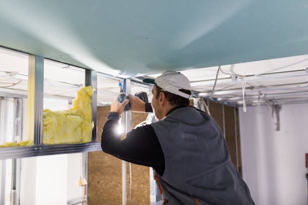 Best Commercial Insulation in Hampton, SC