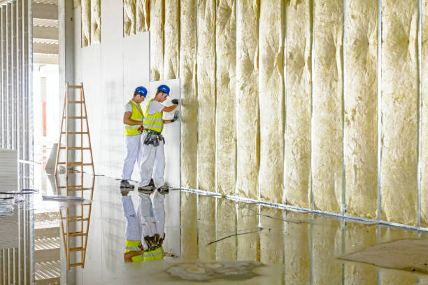 Best Residential Insulation in Hampton, SC